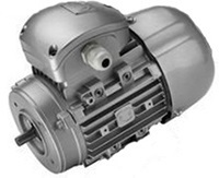 Rotomotive Cast Aluminium 3ph Motor